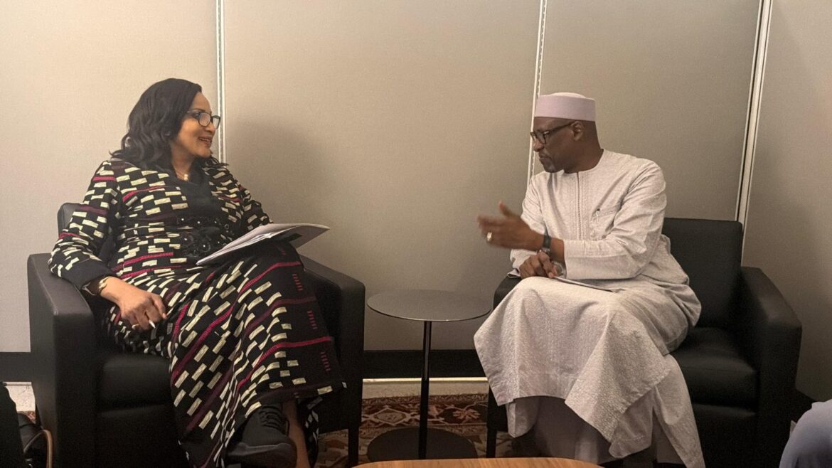 Nigeria, Mali deepen Sahel security talks at UNGA