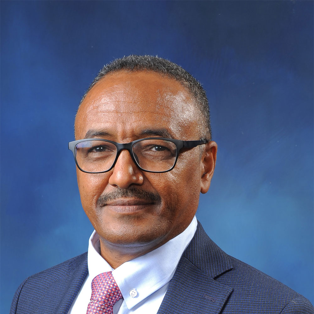 Talking Under Fire: What Libya and Yemen Teach Sudan About National Dialogue, By Sami Abdelhalim Saeed