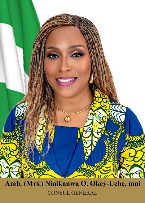 Abuja demands probe into deaths of three Nigerians in South Africa