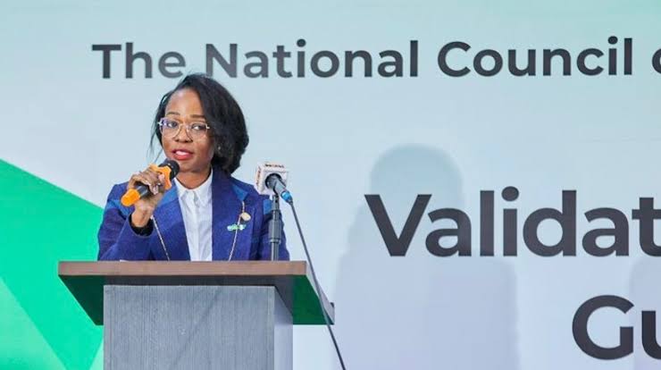 MIKTA nations push climate finance reforms as Nigeria faces $337bn gap
