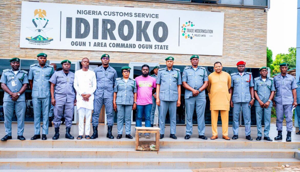 Customs rescue three Pangolins in Ogun