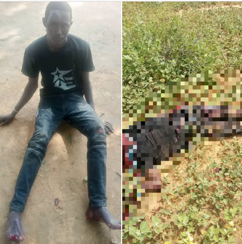 Troops kill terrorist, recover AK-47 in Yobe