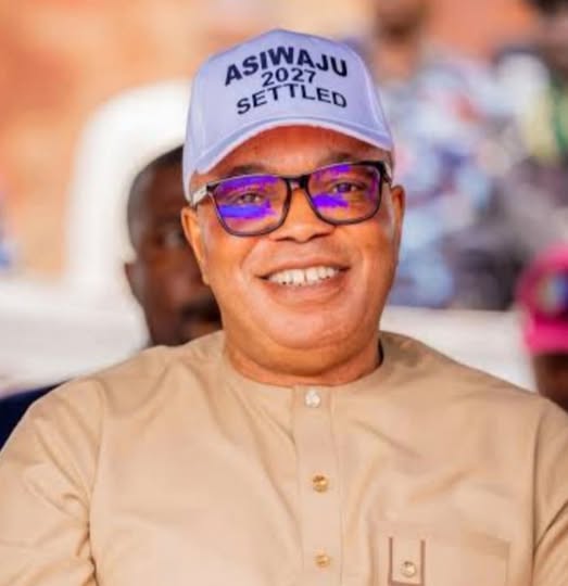 Amnesty International demand probe into Tenebe’s ‘AK-47’ remark