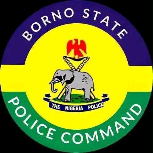 Police explains arrest of five persons in Borno