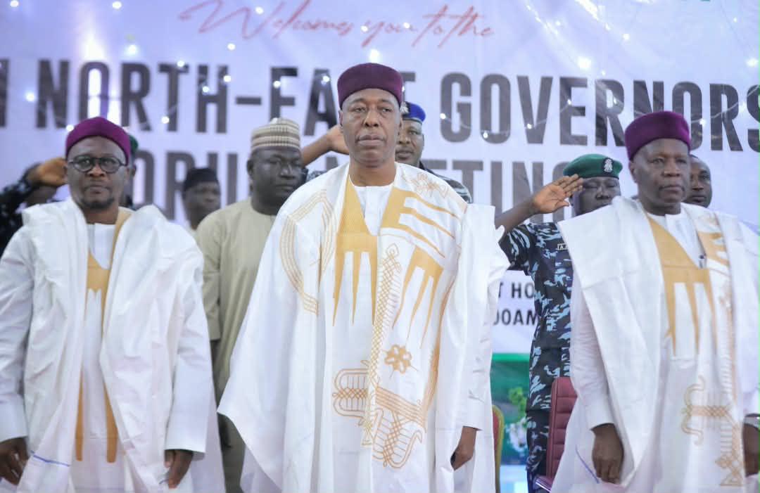 Zulum urges Tinubu to revive Borno oil exploration as Kolmani project resumes