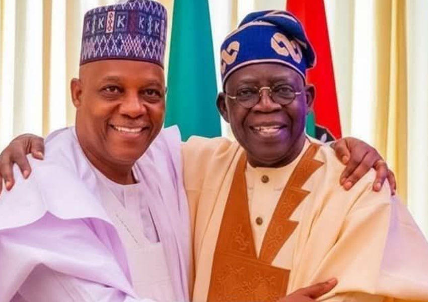 Tinubu’s 2027 Gamble: Why Shettima Remains His Running Mate By: Dr James Bwala