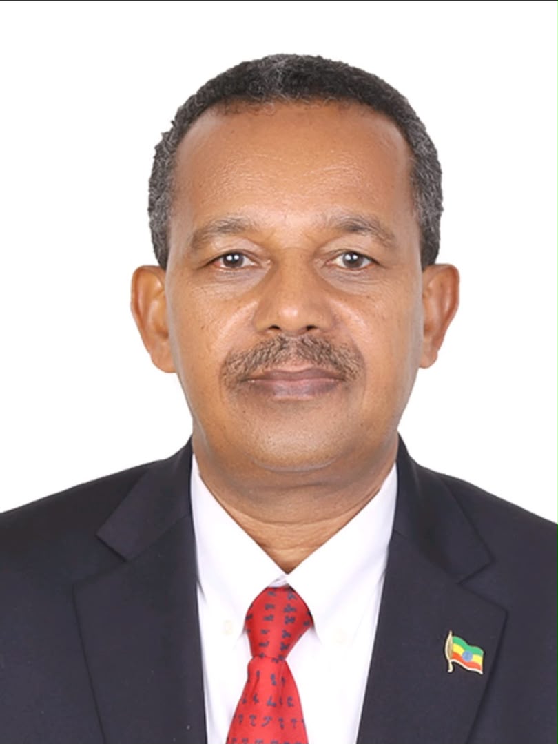 Ethiopia denies foreign funding for $5bn renaissance dam