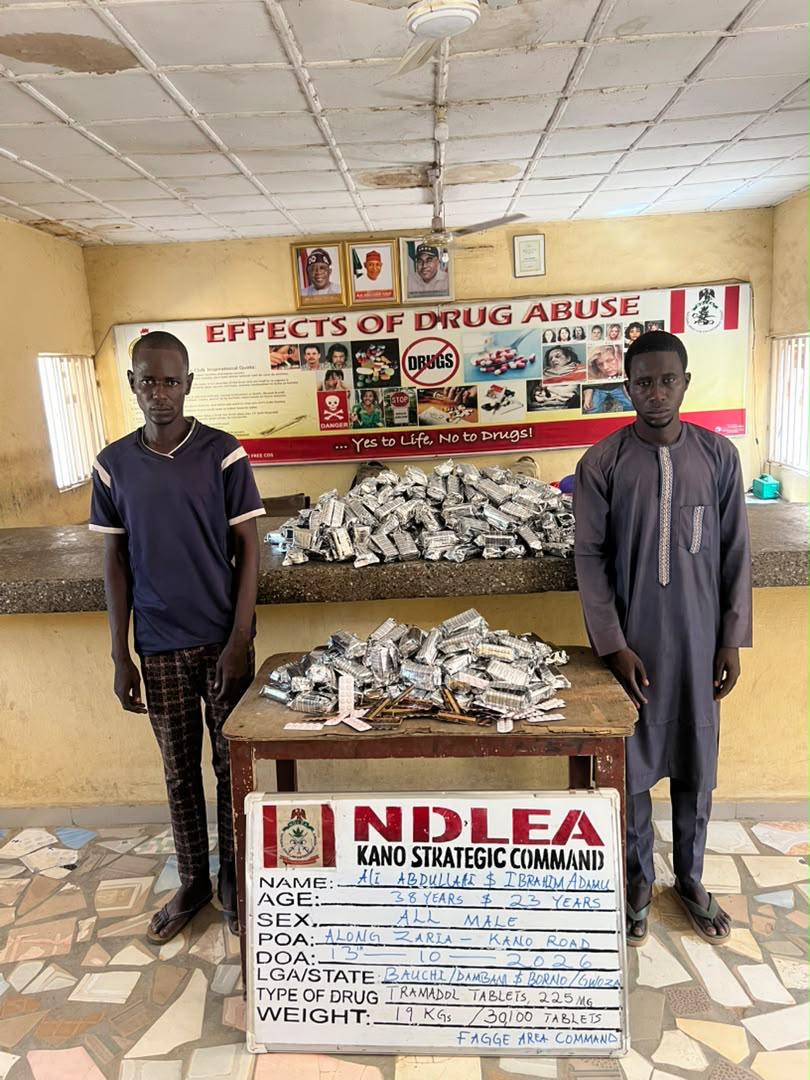 NDLEA seizes N7bn tramadol at Lagos port, intercepts Saudi-bound cannabis hidden in palm oil