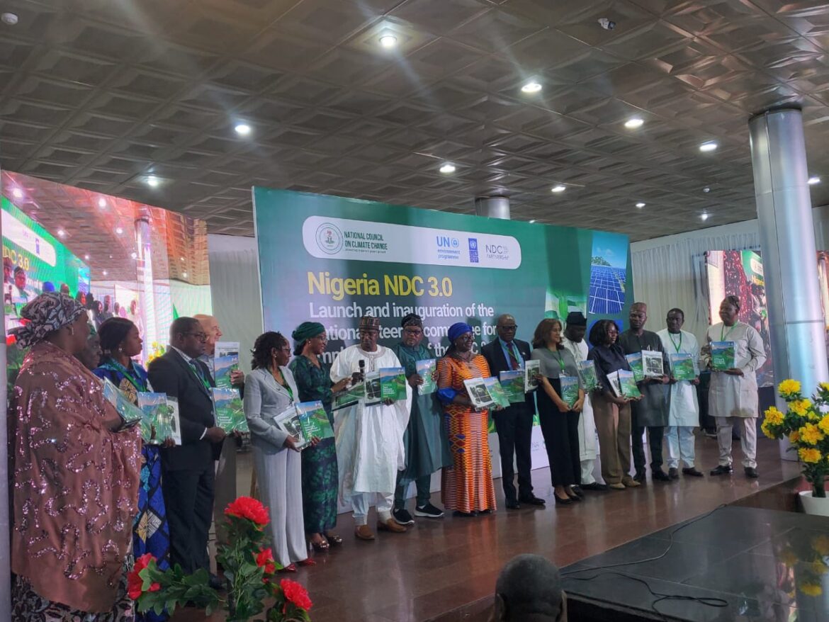 Nigeria’s $337bn climate plan faces funding test