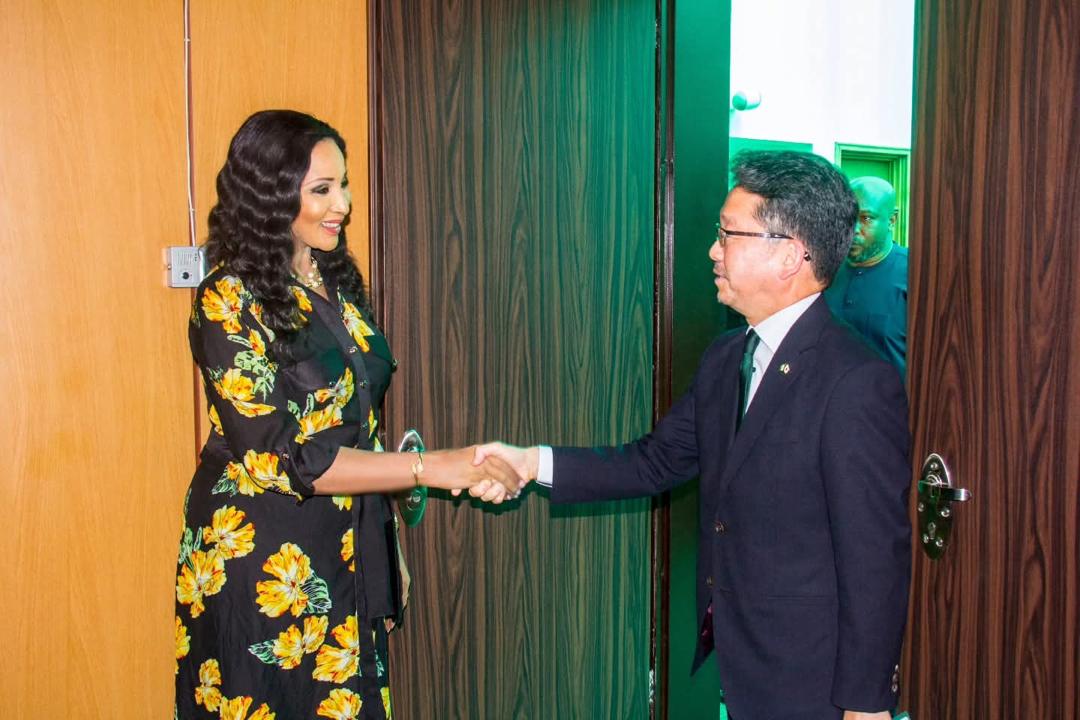Nigeria, Japan plan joint industrial hub