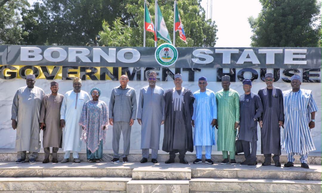 NNPCL to resume oil exploration in Borno